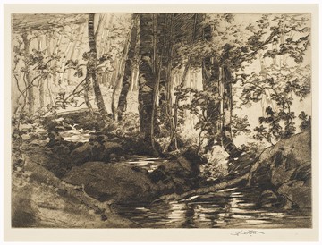 Untitled (Canadian Trout Stream)