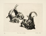 
Three Sable Antelope