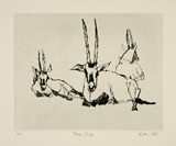 
Three Oryx