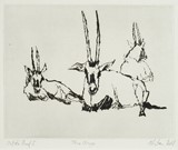 
Three Oryx