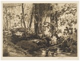 
Untitled (Canadian Trout Stream)
