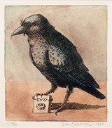 
Old World Crow