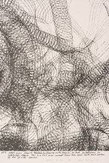
Detail from "Draw II: Machine for Drawing on the Prairie" (No.5)