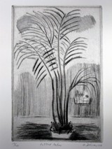 
Potted Palm