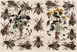 
Botanical Bugs and Bees